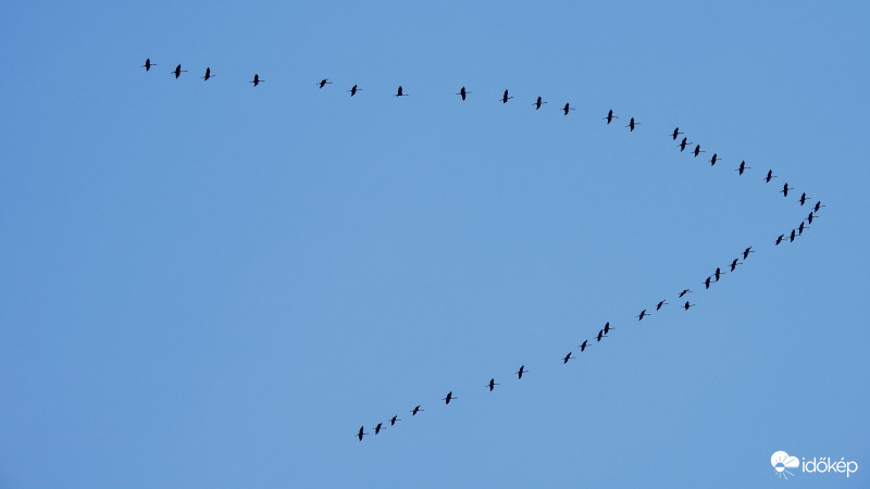 Darvak vonulása [1/3]