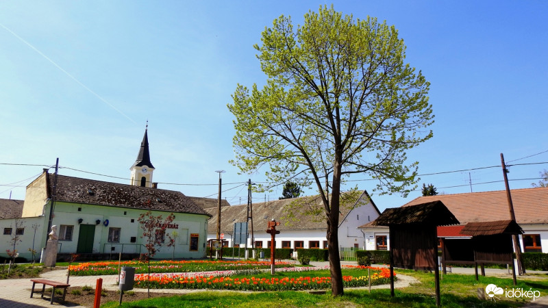 Bogyiszló