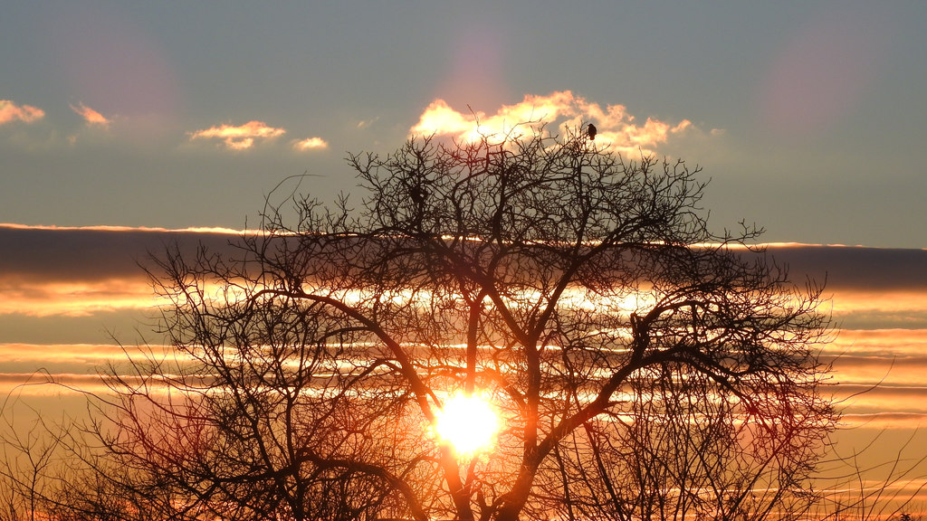 Karácsonyi napkelte :)