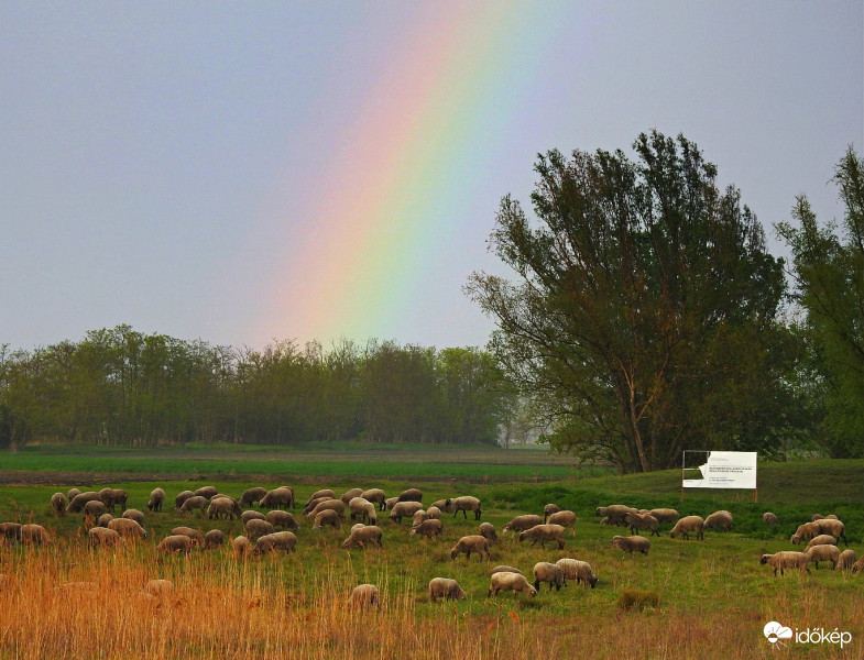 Szivárvány 04.24. (2)