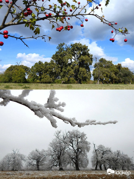 Kasztói Őstölgyes