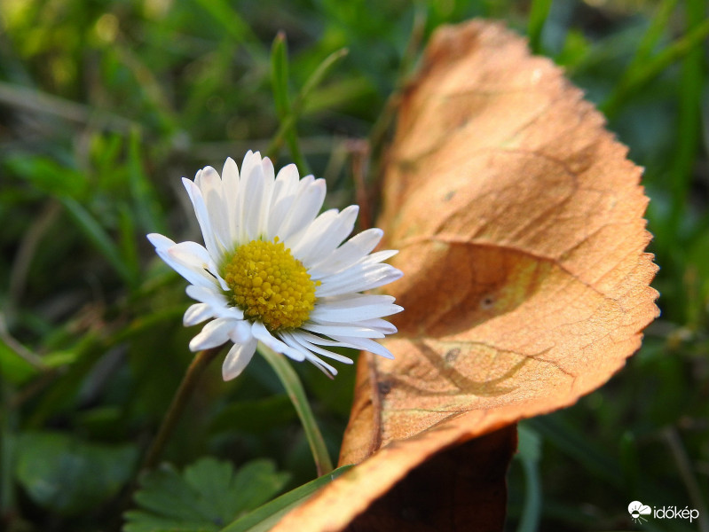 Nyárias ősz :)