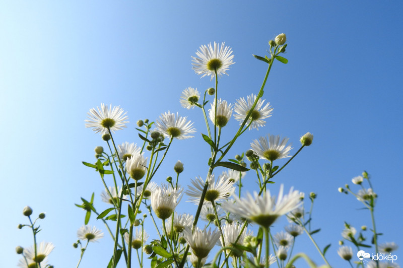 Lassan véget ér a nyárias ősz...