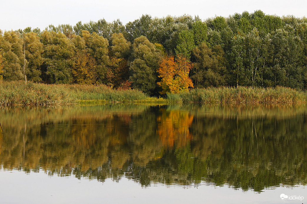 Bogyiszló