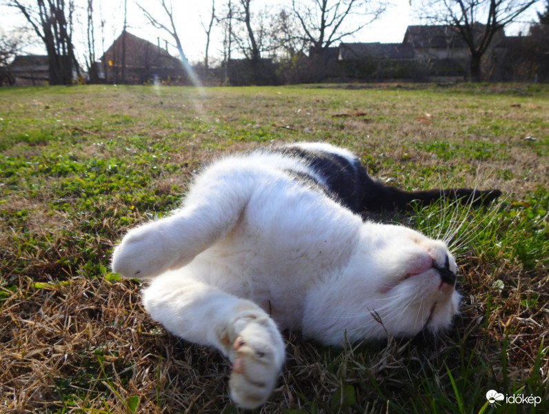 Ő is örül,  ha süt a nap... :-)