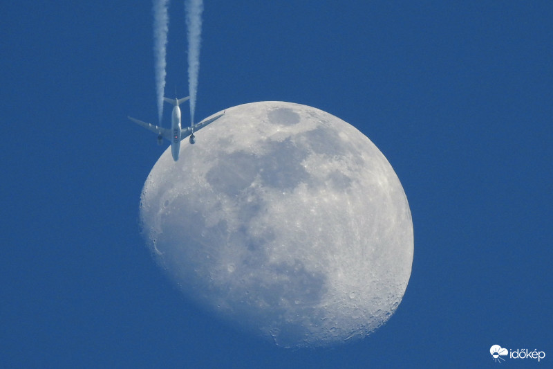 Hold + Qatar Airways :) 