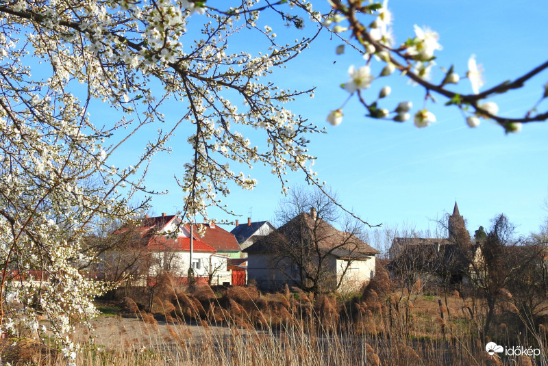 Csodás, tavaszi idő volt ma! :)