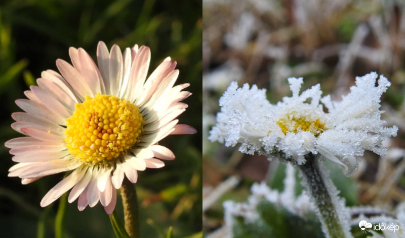 Tegnap tavasz, ma tél :)