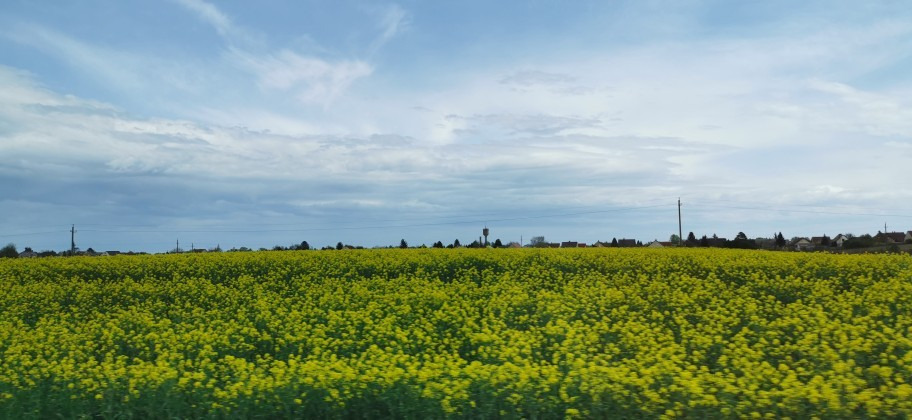 Szekszárd