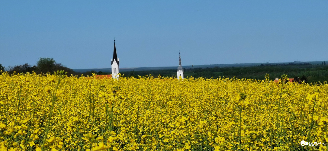 Kölesd