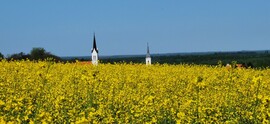 Kölesd