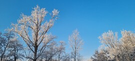 Pusztaszer