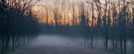 Pusztaszer