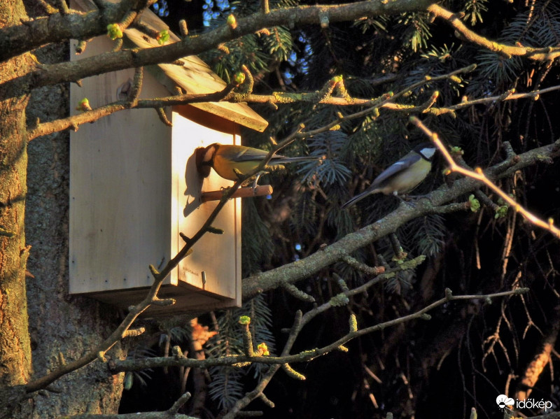 Lakik itt már valaki?