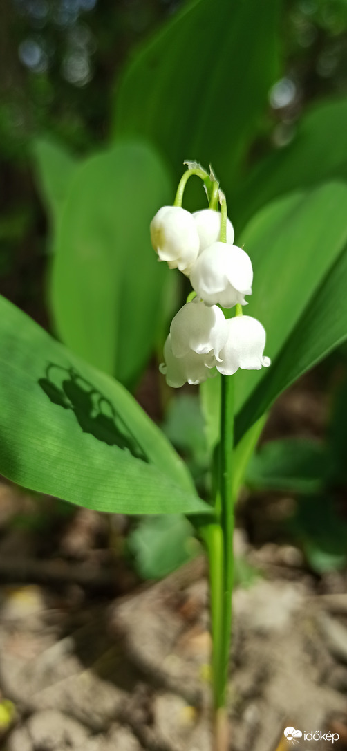 04.04