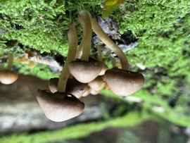 agostonviktor fotója