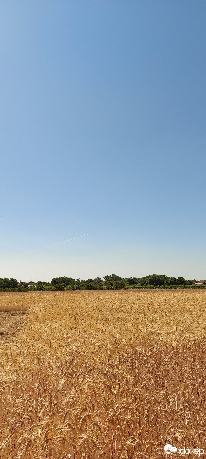 Tiszaalpár