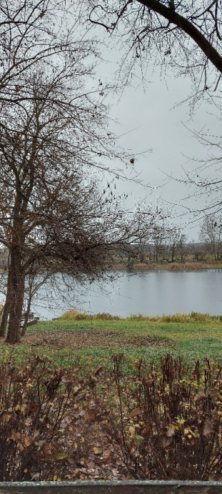 Tiszaalpár