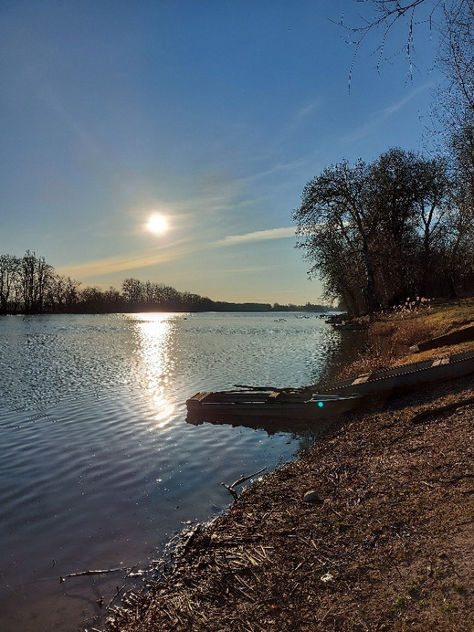 Tiszaalpár