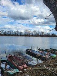 Tiszaalpár