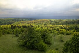 Sunshine trough the rain