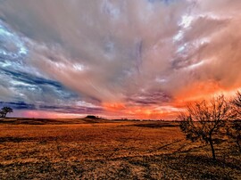 albertlaszlo fotója