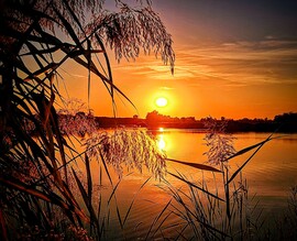 albertlaszlo fotója