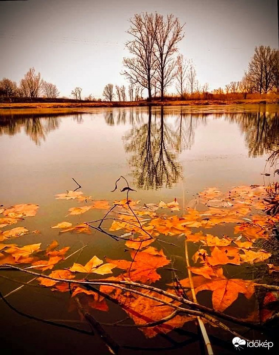 albertlaszlo fotója