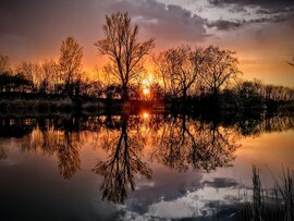 albertlaszlo fotója