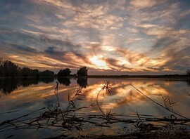 albertlaszlo76 fotója