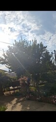 Röszke