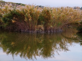 alexandra0531 fotója