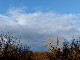 Vihar előtt