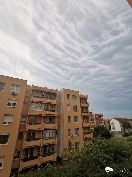 Vihar