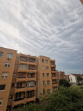 Vihar
