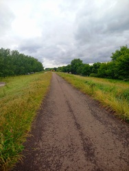 Tavaszi ború
