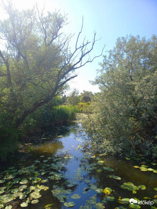 Csoda természet