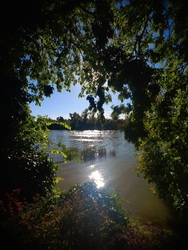 Délutáni napsugarak