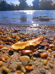 Délutáni napsugarak