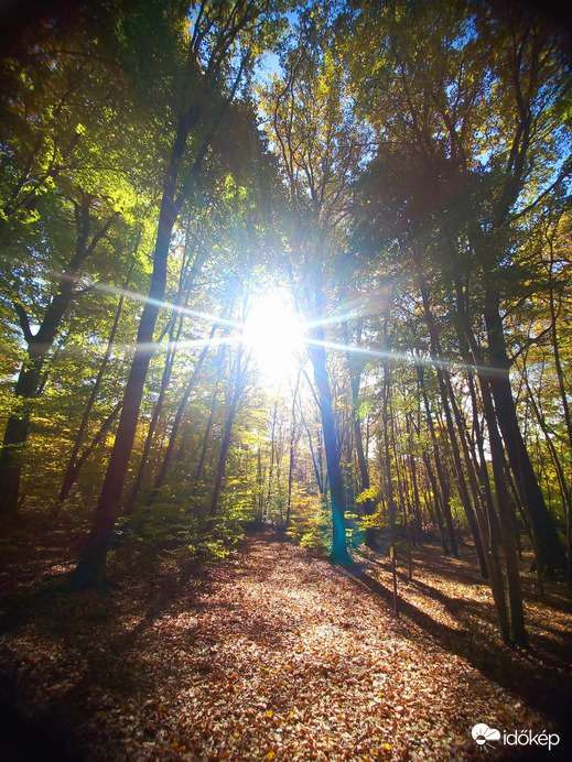 Őszi napsugarak