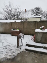 Lövő