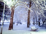 Az első hó a parkban