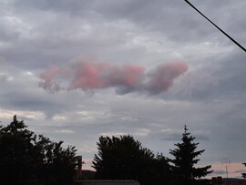 Komló