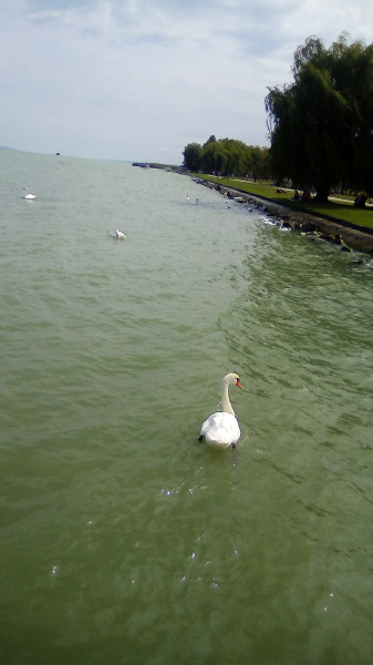 Balatonboglár