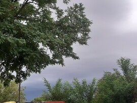 Orosháza