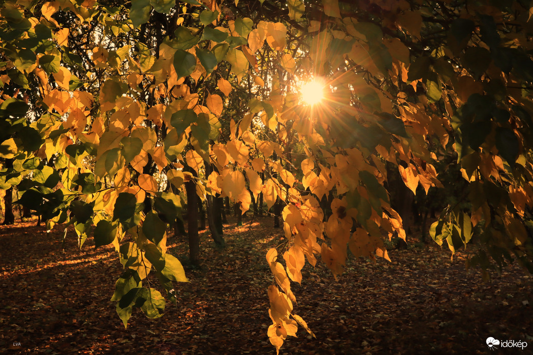Kukucskál a napocska!