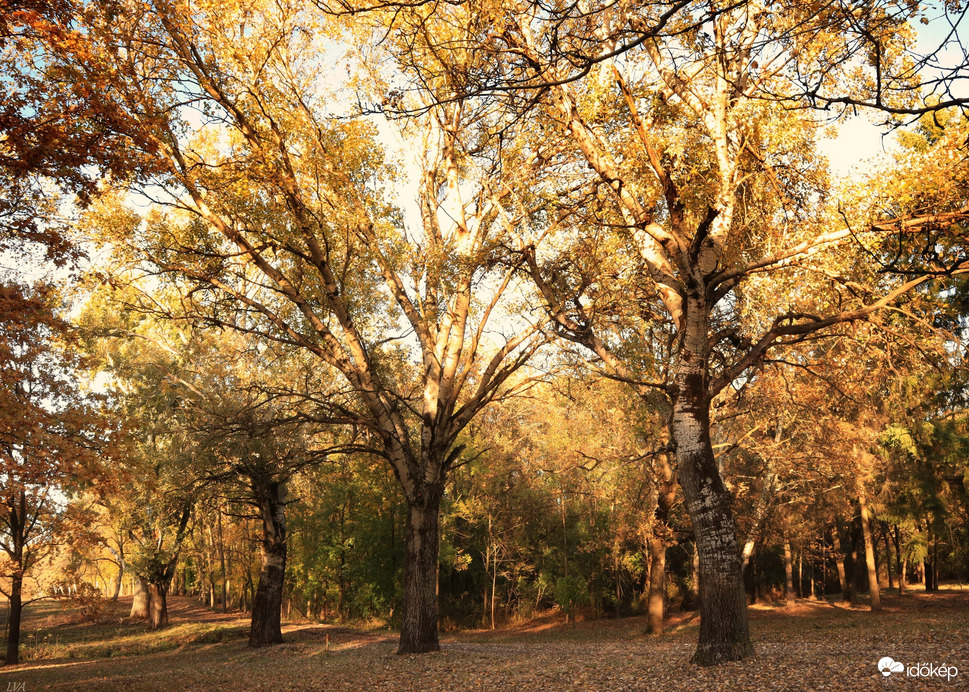 Püspökladány Farkassziget