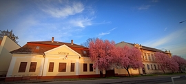 Püspökladány