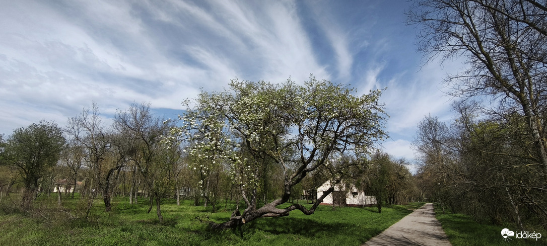 Püspökladány 