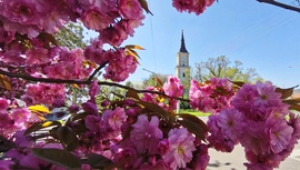 Püspökladány